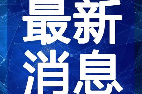 萍姥姥最新爆料新闻视频,最新爆料新闻视频深度解析